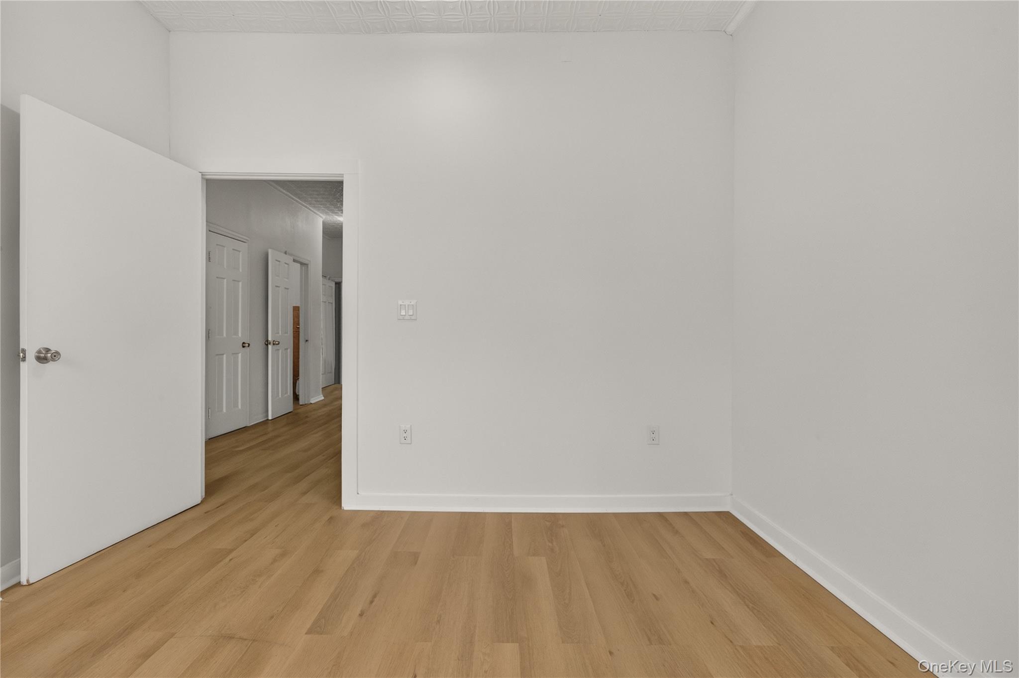 Single Family Drew Street  Brooklyn, NY 11208, MLS-1036385-9