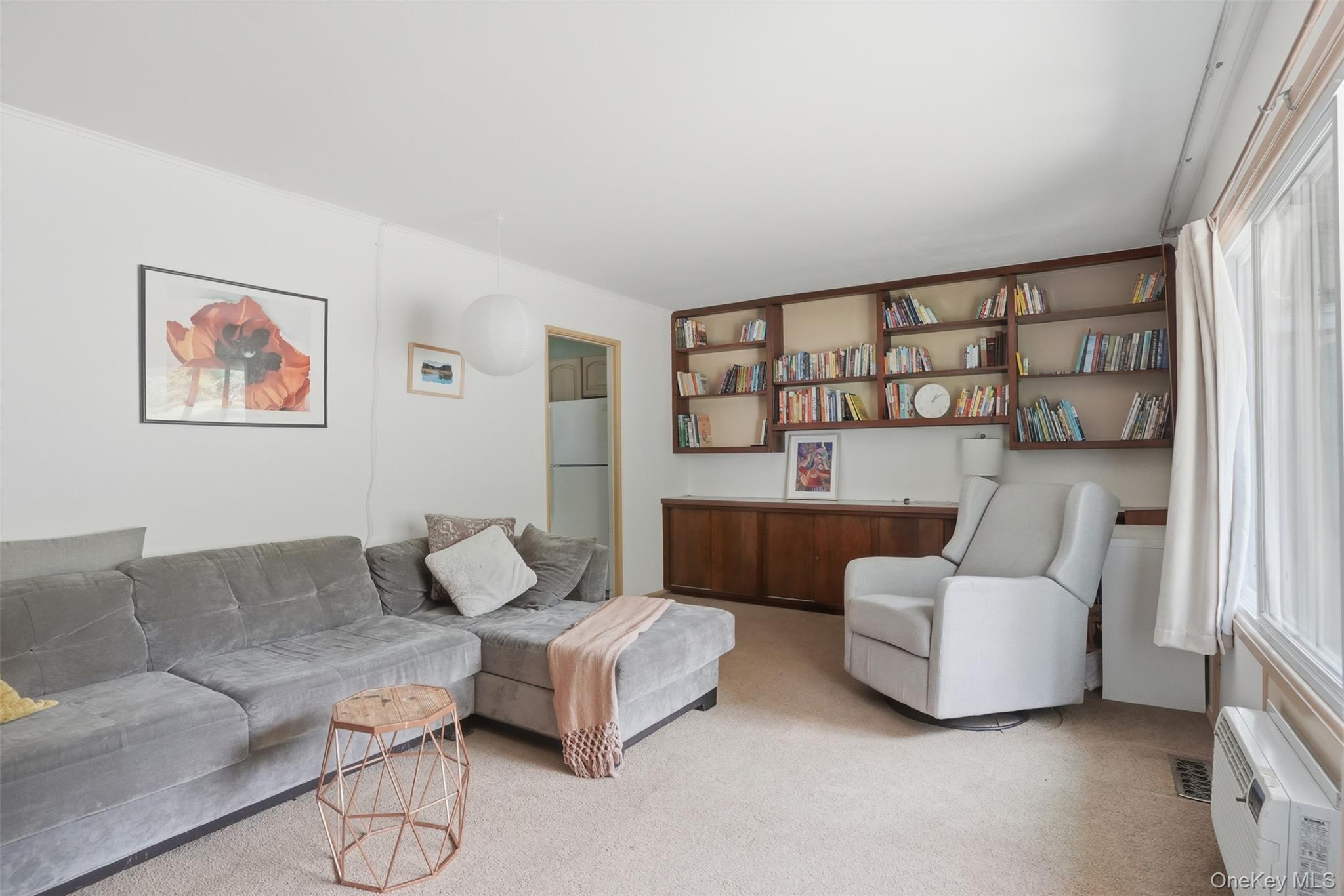 Single Family Harrington Street Ulster County, NY 12561, MLS-1036388-9