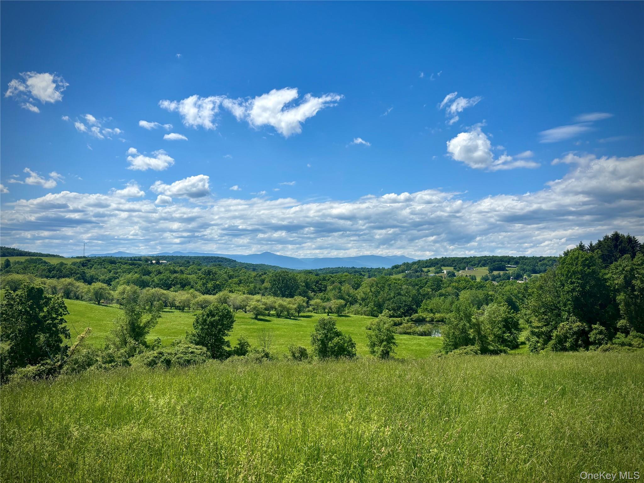 Single Family County Route 8 Columbia County, NY 12523, MLS-1036419-2
