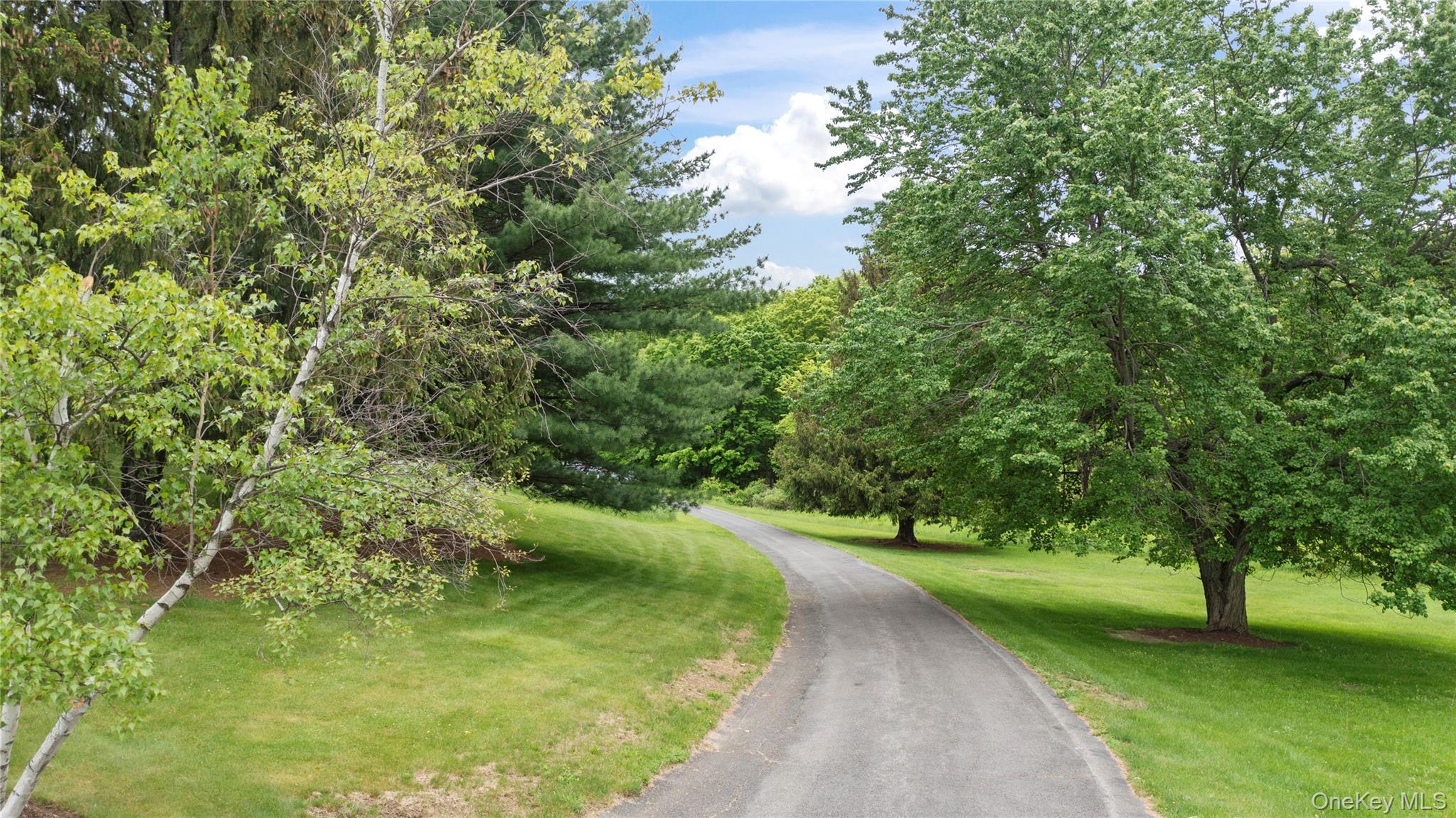 Single Family County Route 8 Columbia County, NY 12523, MLS-1036419-21