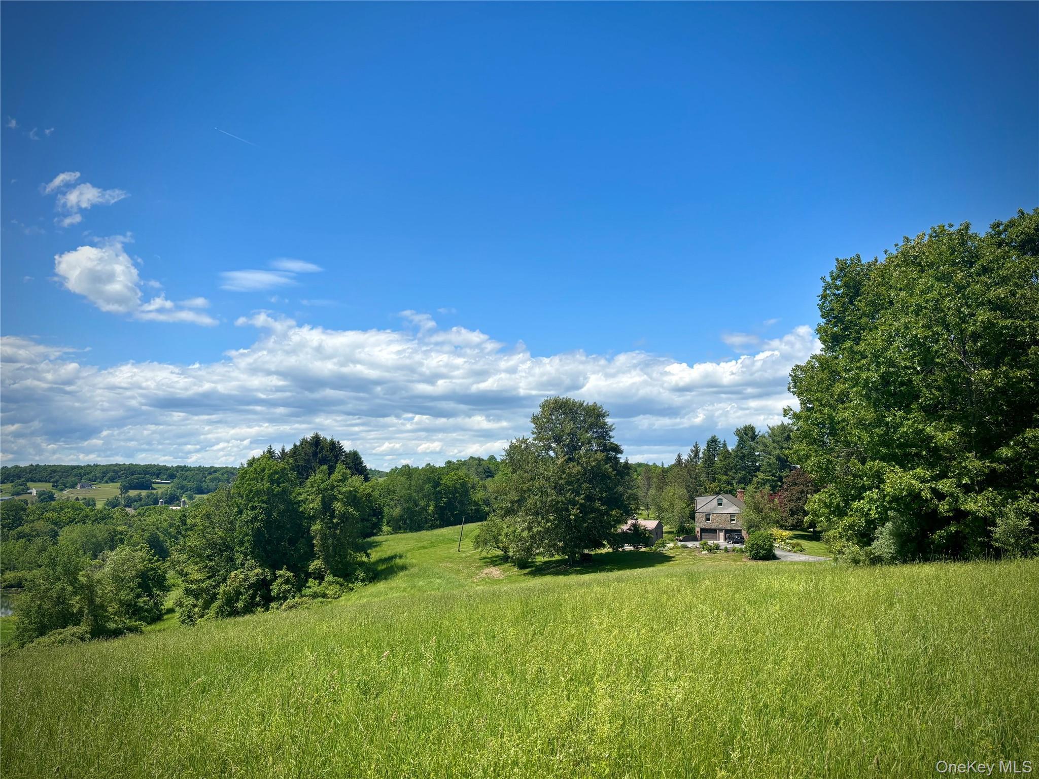 Single Family County Route 8 Columbia County, NY 12523, MLS-1036419-3