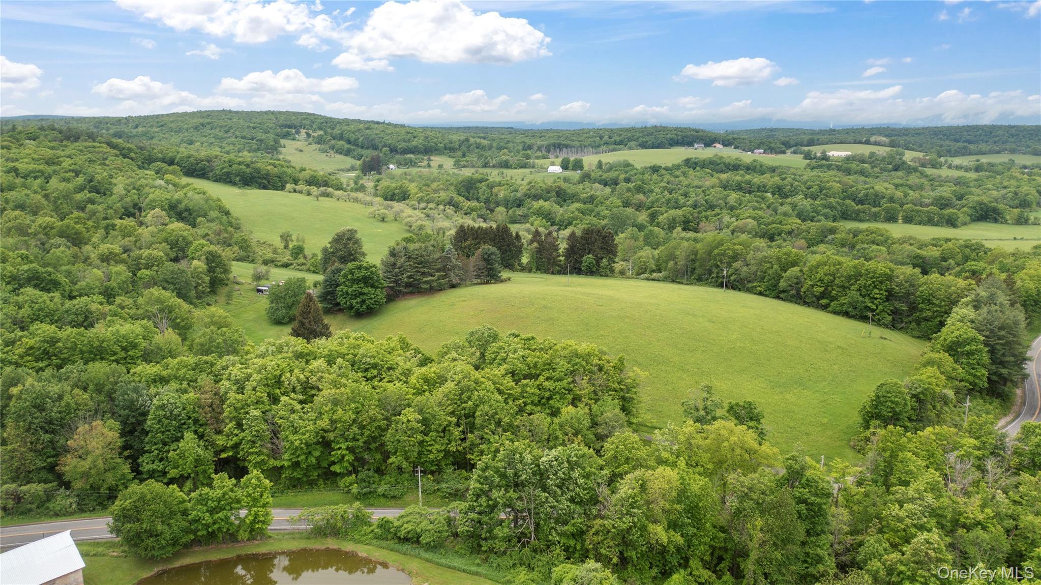 Single Family County Route 8 Columbia County, NY 12523, MLS-1036419-5