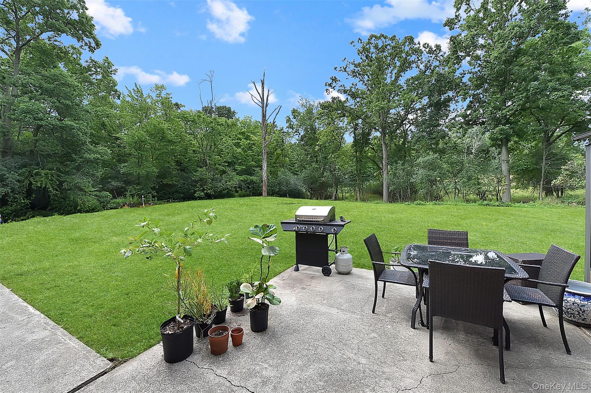 Single Family Hill Road Orange County, NY 10924, MLS-1036432-45
