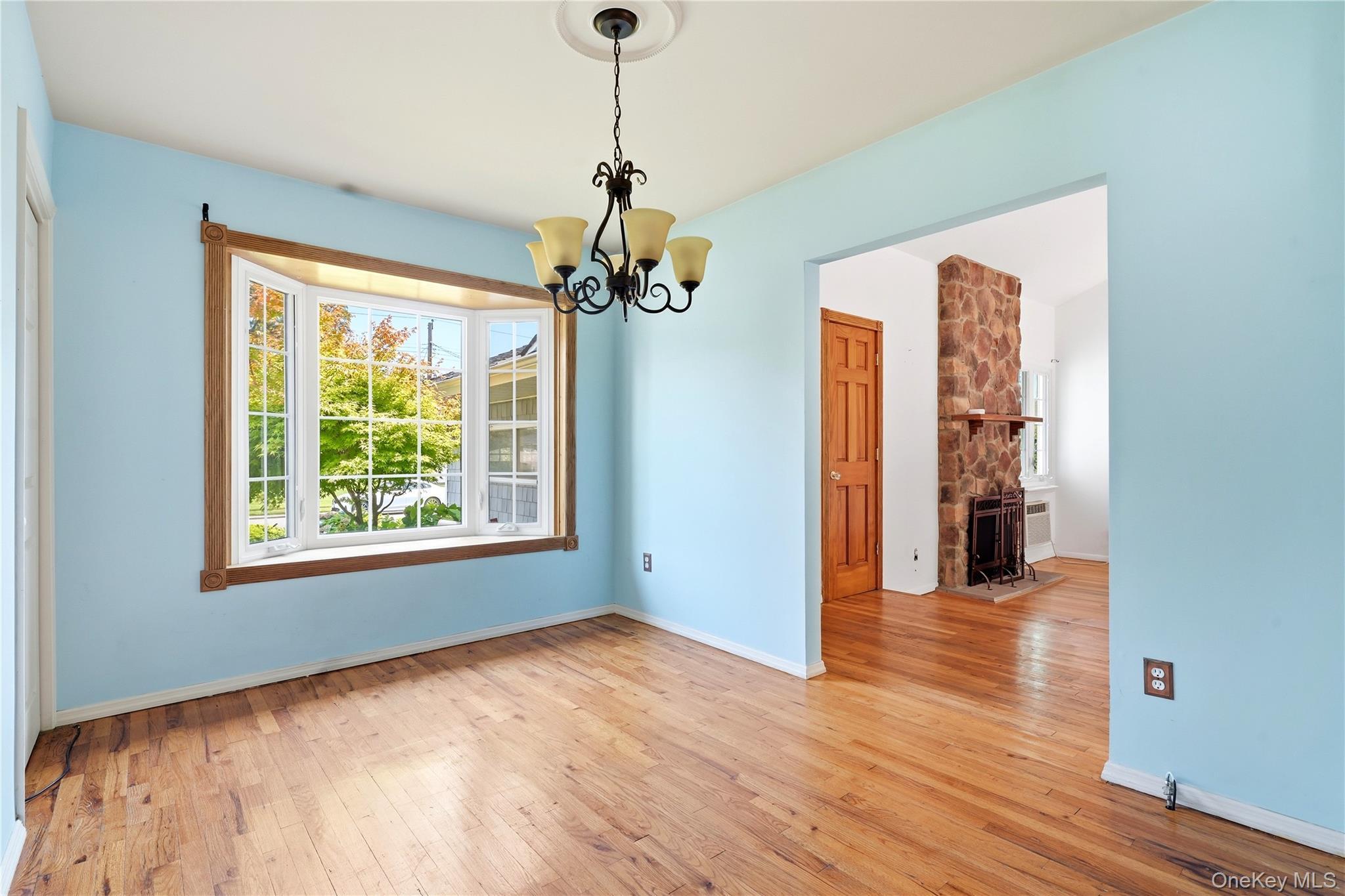 Single Family 1st Avenue  Nassau County, NY 11762, MLS-1036458-11