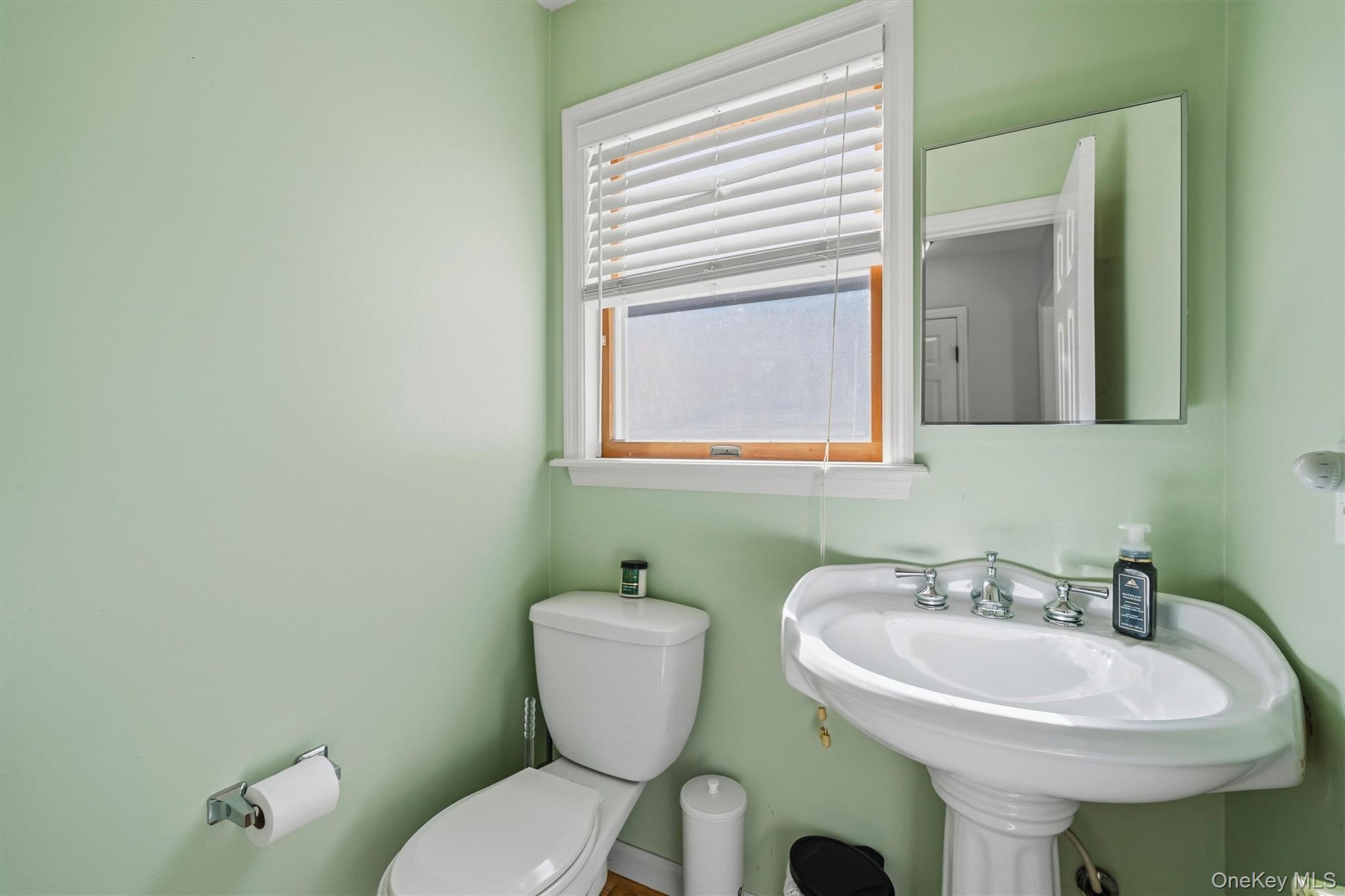 Single Family Susan Lane Orange County, NY 10919, MLS-1036495-17