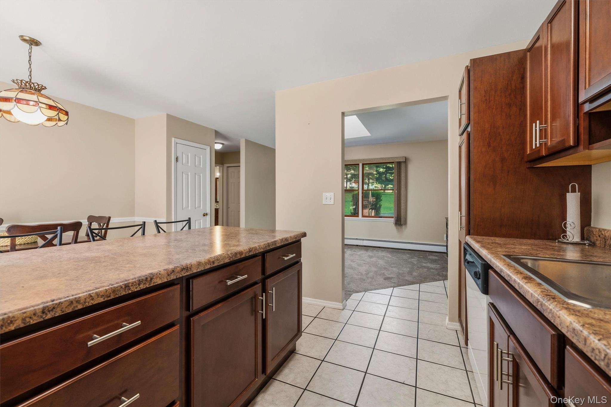 Single Family Susan Lane Orange County, NY 10919, MLS-1036495-19