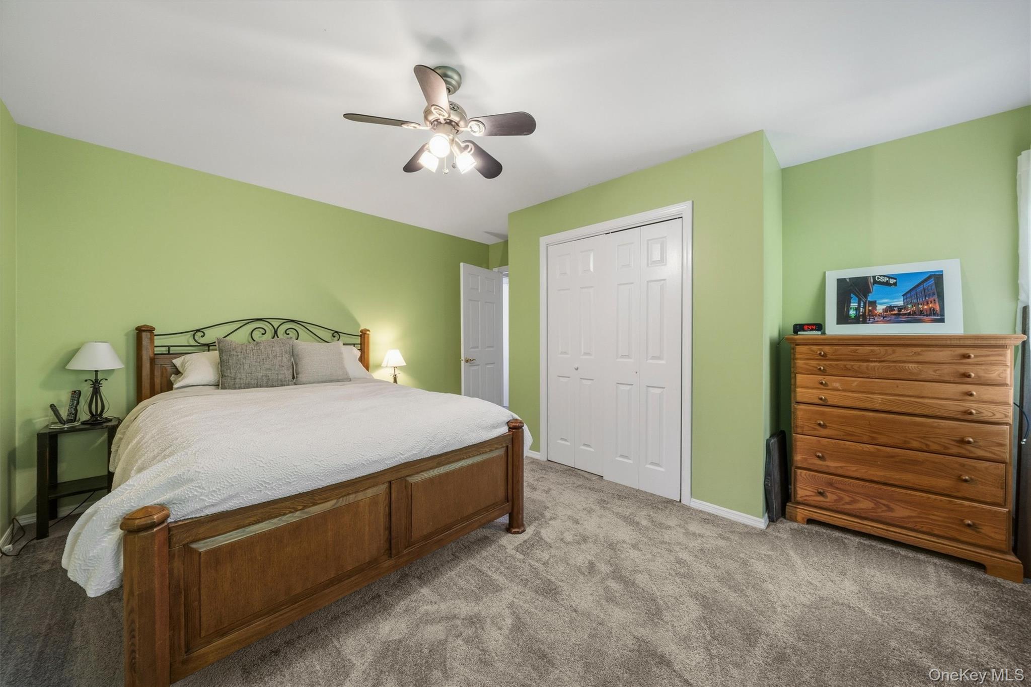 Single Family Susan Lane Orange County, NY 10919, MLS-1036495-31
