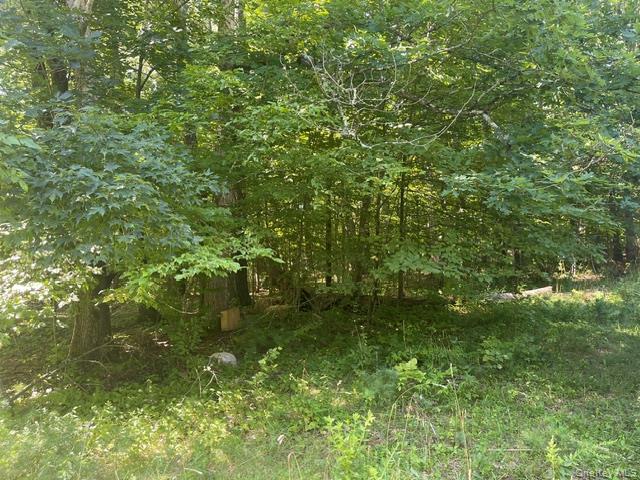 Single Family Woodland Drive Greene County, NY 12413, MLS-1036496-3