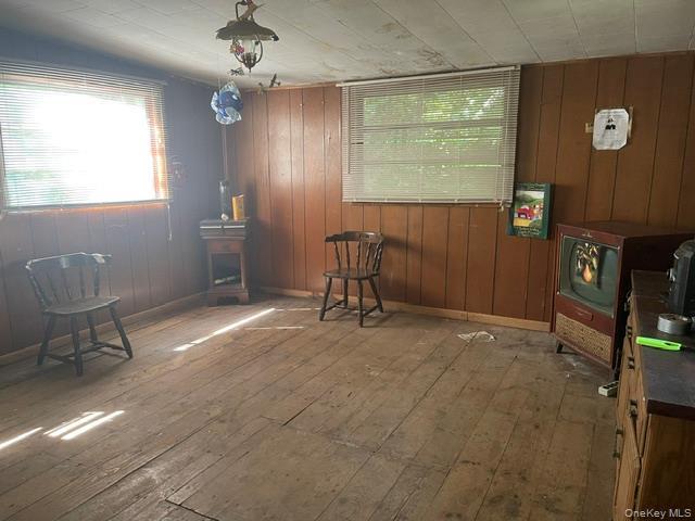 Single Family Woodland Drive Greene County, NY 12413, MLS-1036496-8