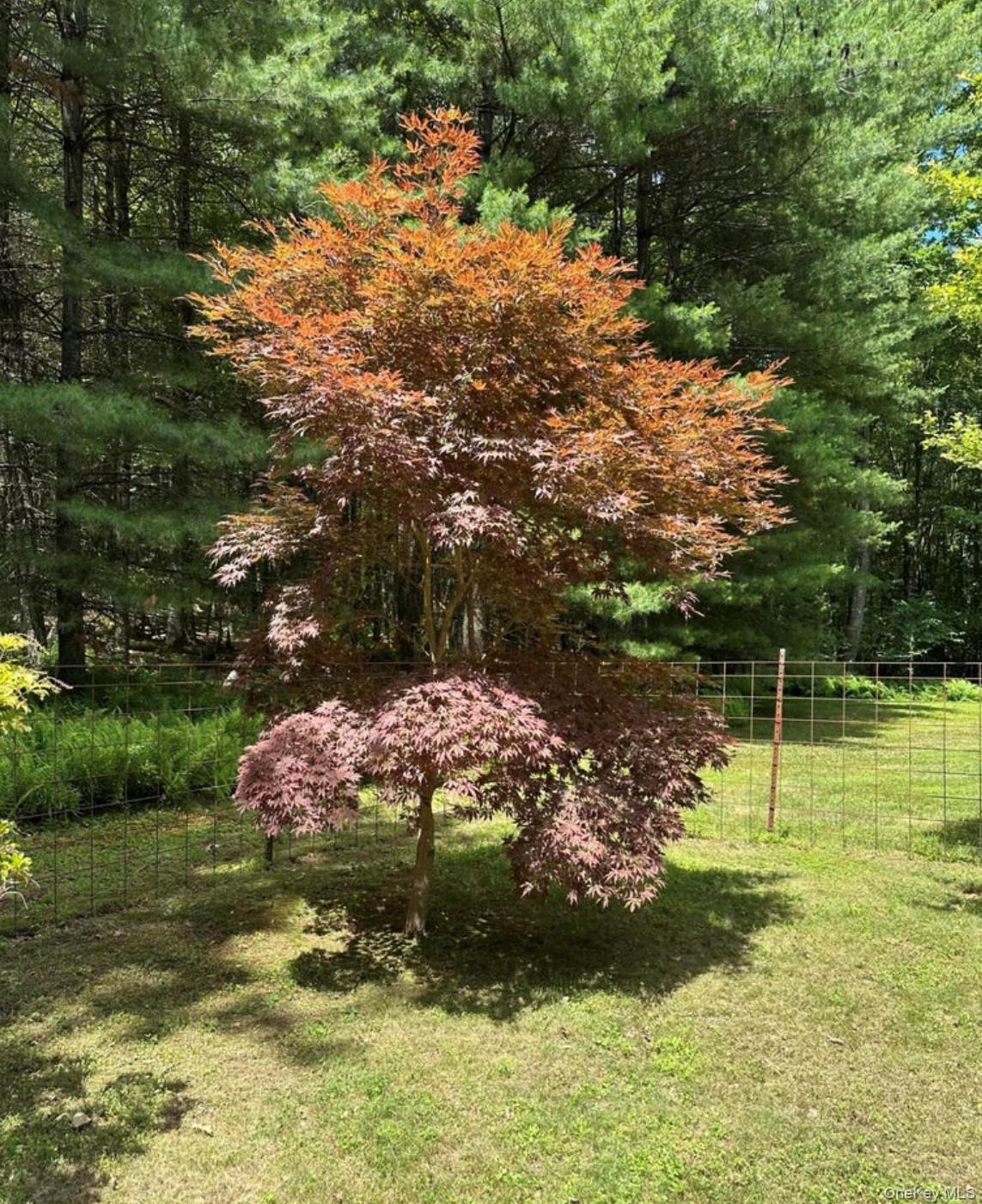 Single Family Van Tine Road Ulster County, NY 12446, MLS-1036518-10