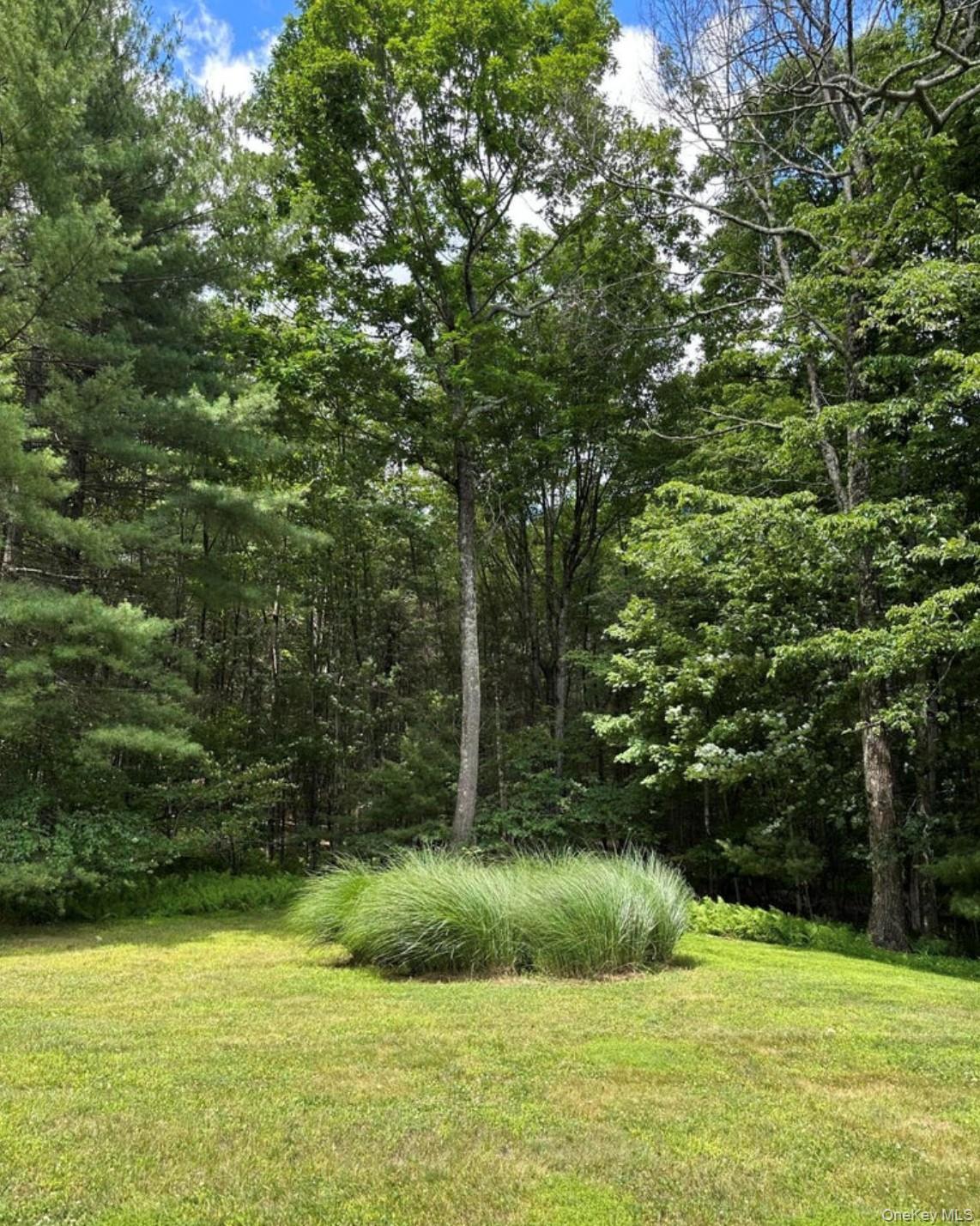 Single Family Van Tine Road Ulster County, NY 12446, MLS-1036518-5