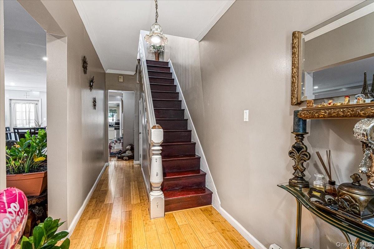 Single Family Logan Street Brooklyn, NY 11208, MLS-1036529-5