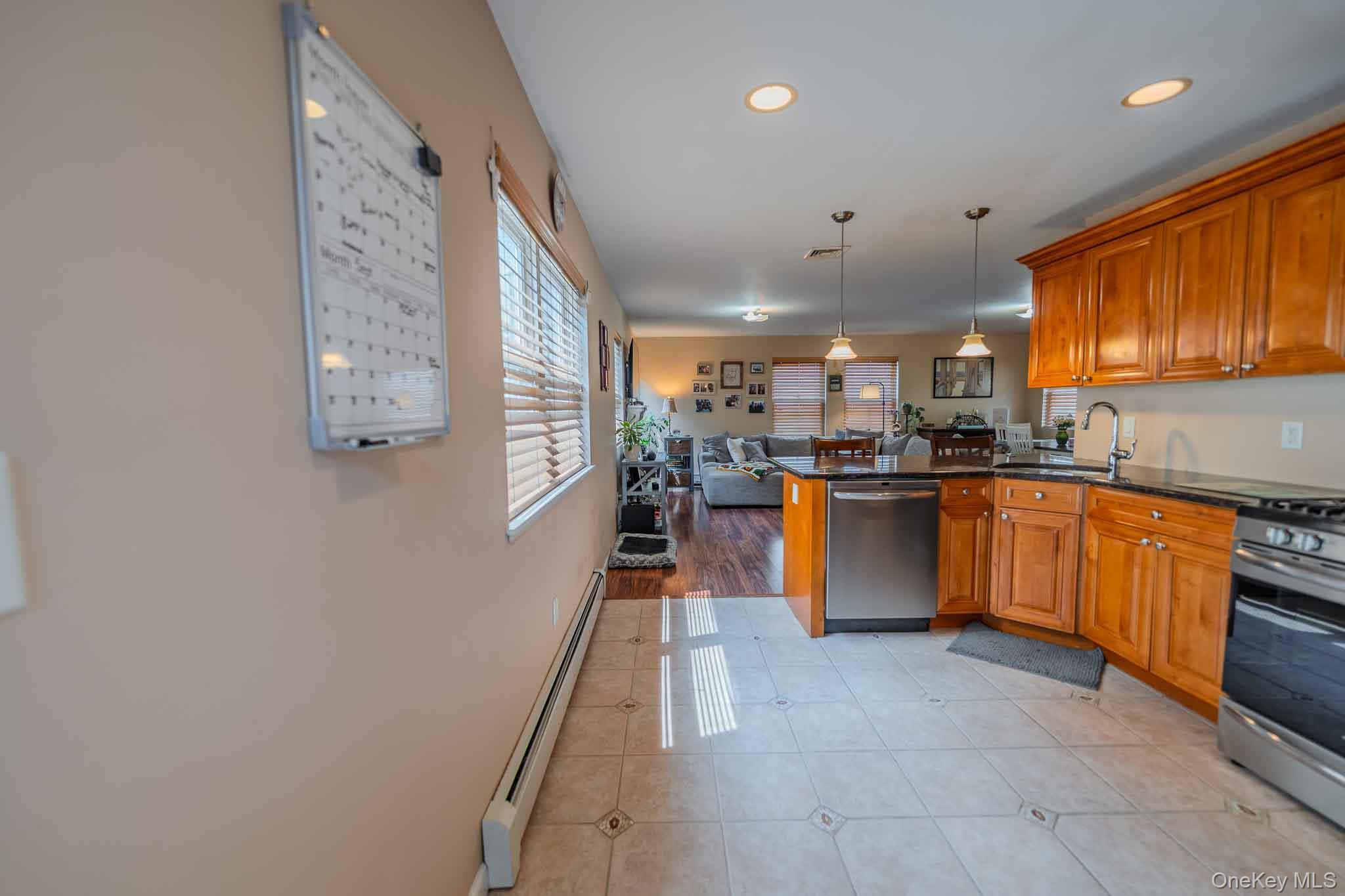 Single Family Louisiana Street  Nassau County, NY 11561, MLS-1036557-2