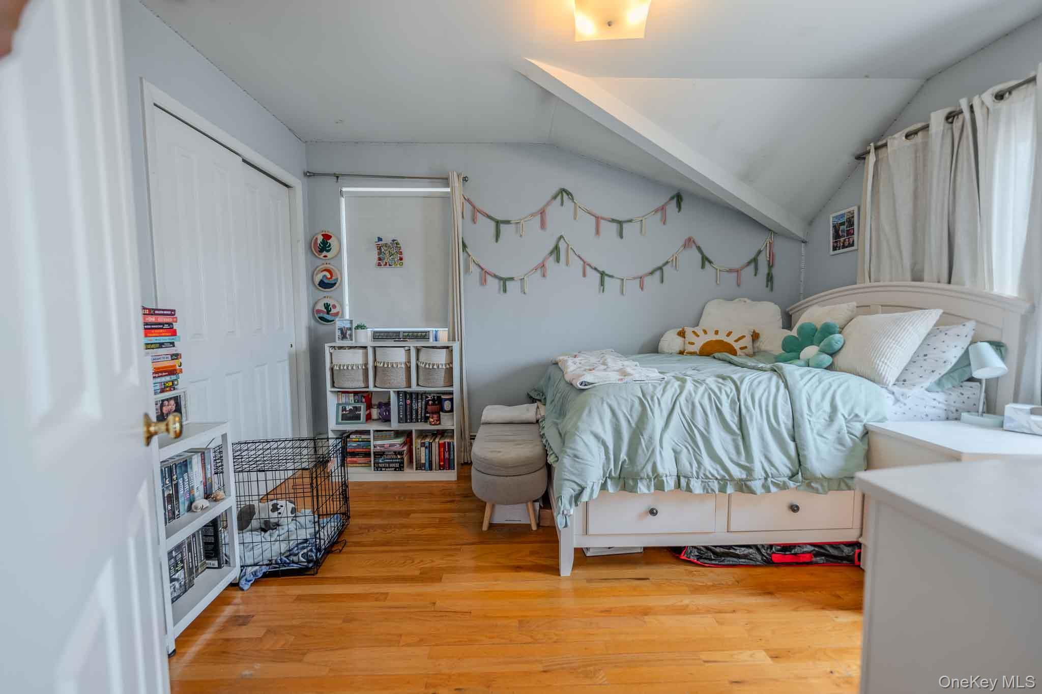 Single Family Louisiana Street  Nassau County, NY 11561, MLS-1036557-23