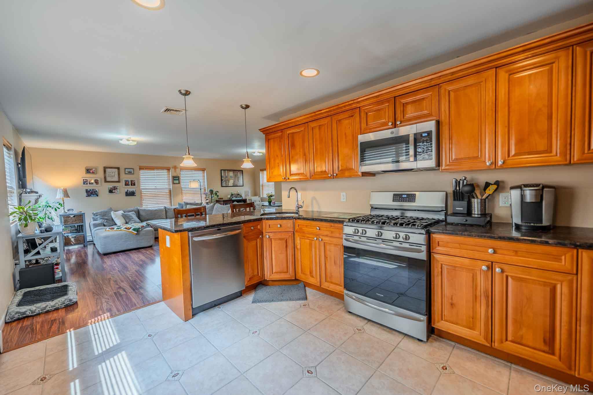 Single Family Louisiana Street  Nassau County, NY 11561, MLS-1036557-3