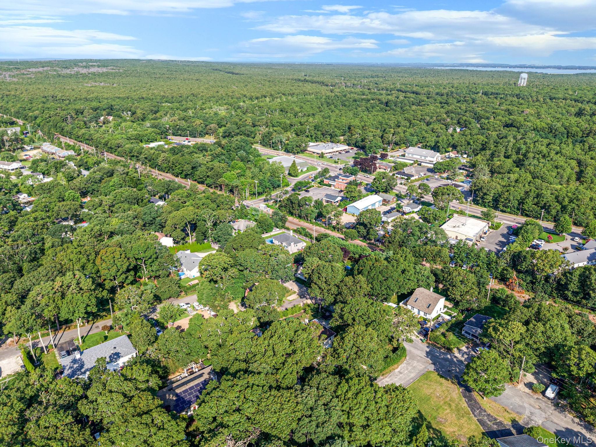 Single Family Vine Street Suffolk County, NY 11946, MLS-1036558-24