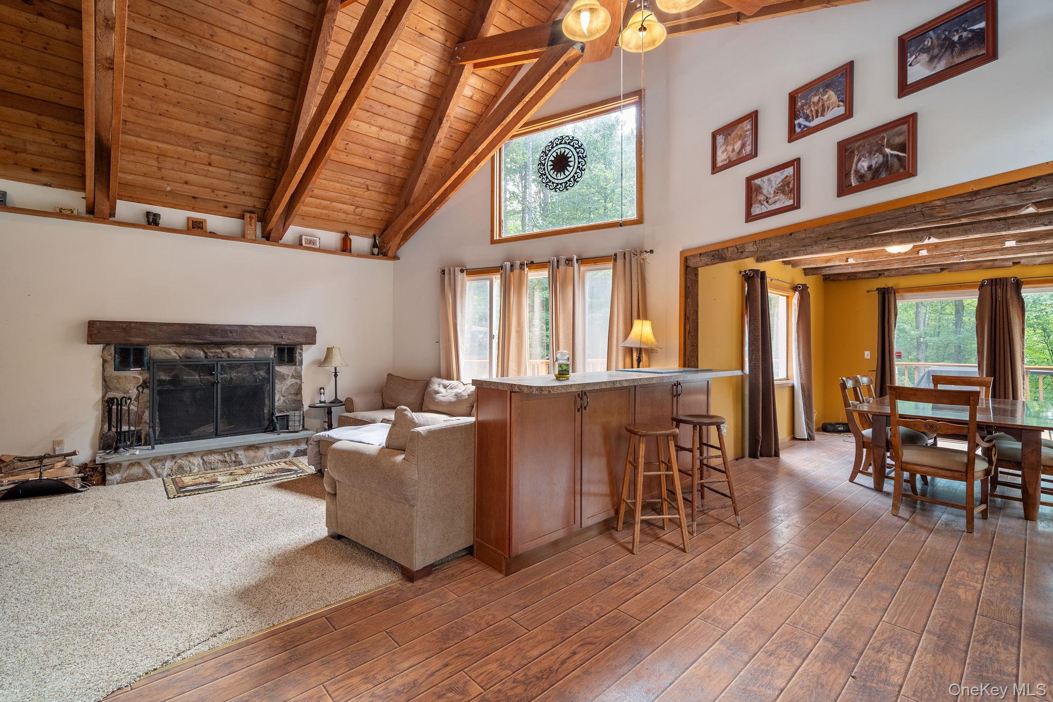 Single Family Cotton Hill Rd Middleburgh Ny Out Of Area, NY 12122, MLS-1036566-11