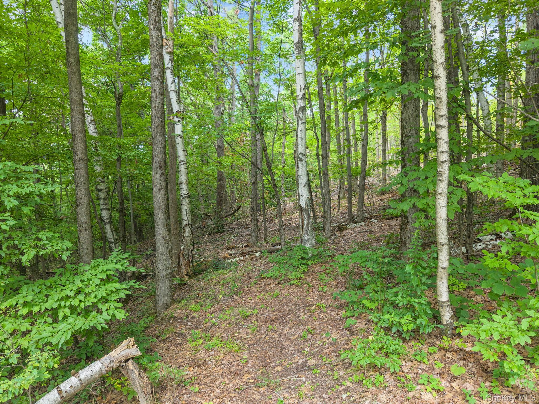 Single Family Cotton Hill Rd Middleburgh Ny Out Of Area, NY 12122, MLS-1036566-42