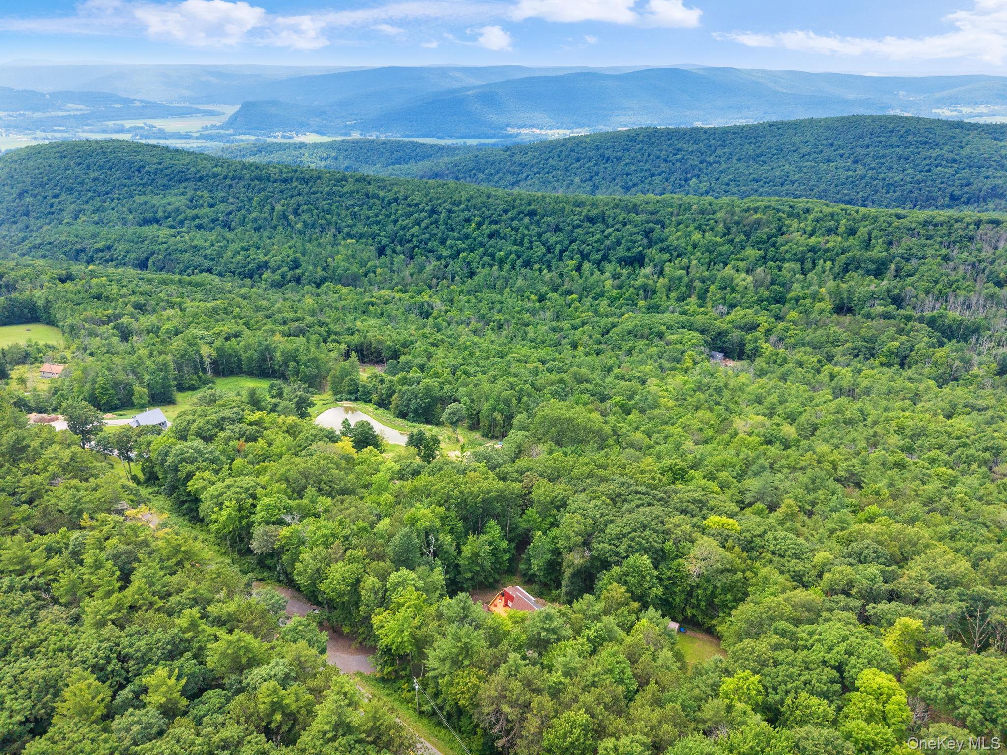 Single Family Cotton Hill Rd Middleburgh Ny Out Of Area, NY 12122, MLS-1036566-45