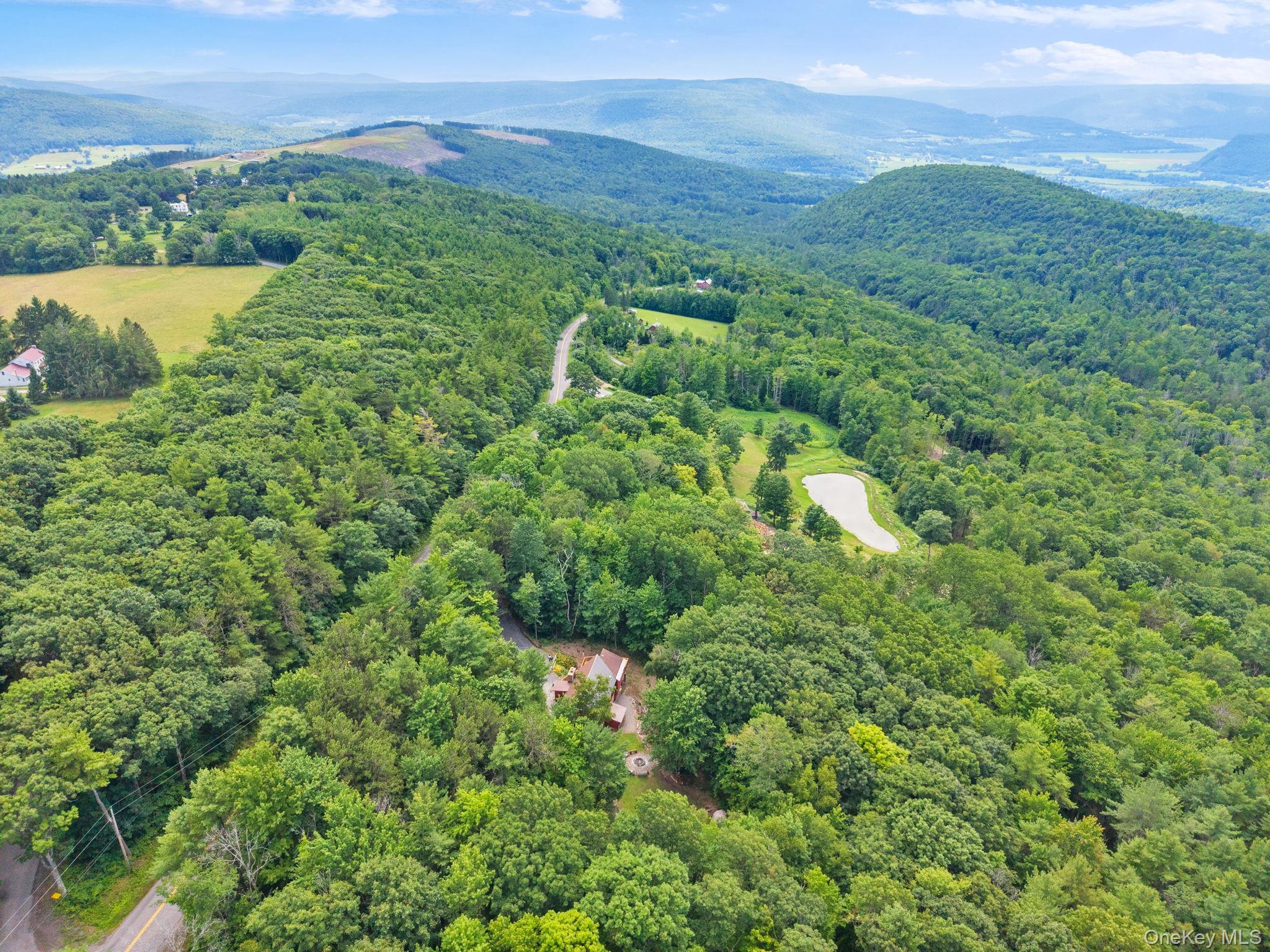 Single Family Cotton Hill Rd Middleburgh Ny Out Of Area, NY 12122, MLS-1036566-46