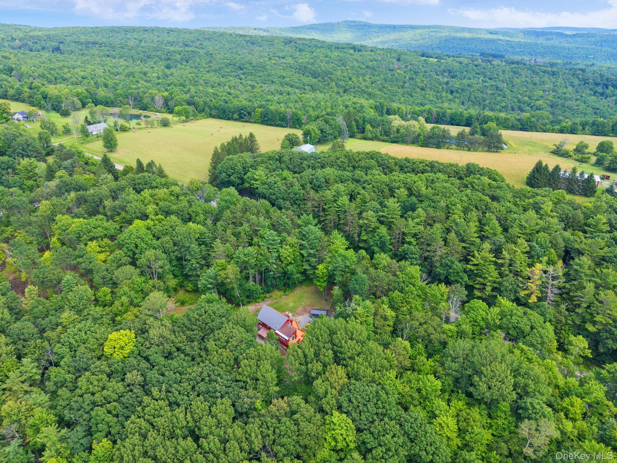 Single Family Cotton Hill Rd Middleburgh Ny Out Of Area, NY 12122, MLS-1036566-49