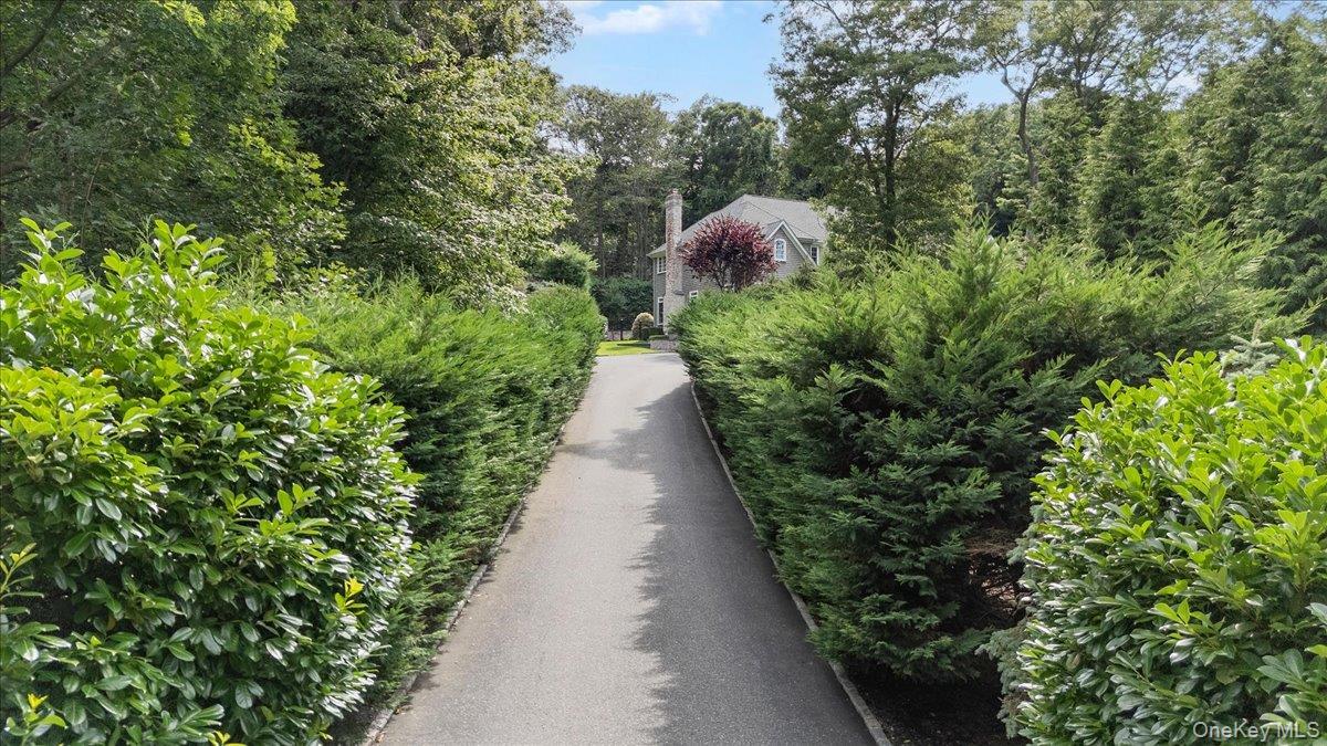 Single Family N Country Road  Suffolk County, NY 11792, MLS-1036567-46