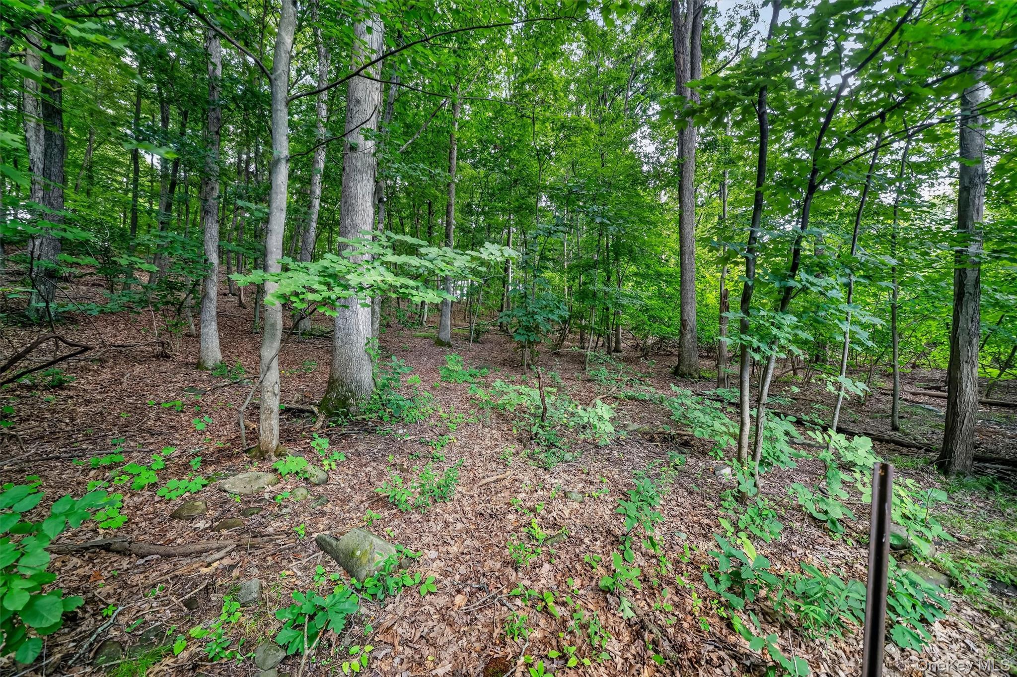 Single Family Old Dutch Hollow Road Orange County, NY 10925, MLS-1036599-35