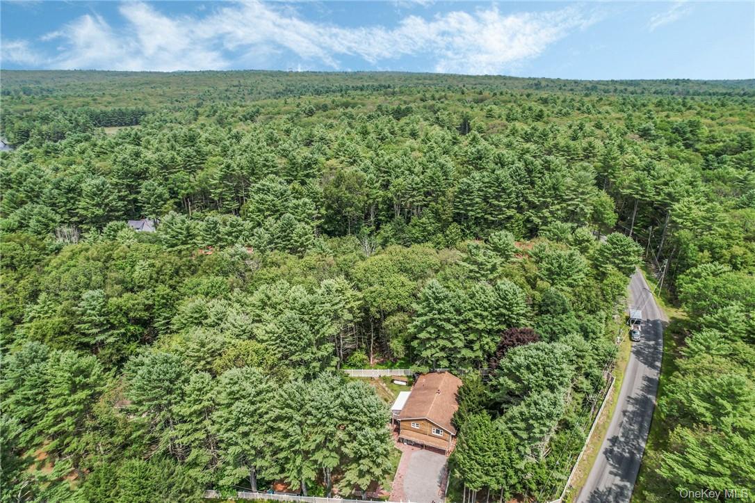Single Family Hollowaty Kosak Road Sullivan County, NY 12737, MLS-1036624-2