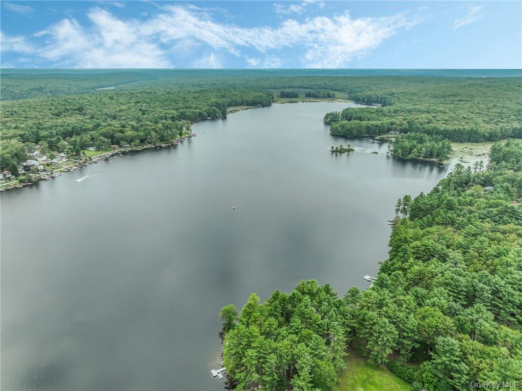 Single Family Hollowaty Kosak Road Sullivan County, NY 12737, MLS-1036624-3