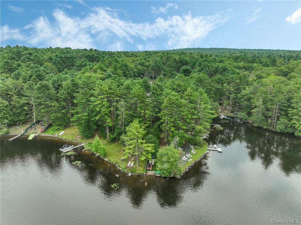 Single Family Hollowaty Kosak Road Sullivan County, NY 12737, MLS-1036624-32