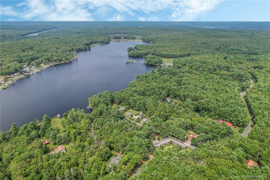 Single Family Hollowaty Kosak Road Sullivan County, NY 12737, MLS-1036624-34