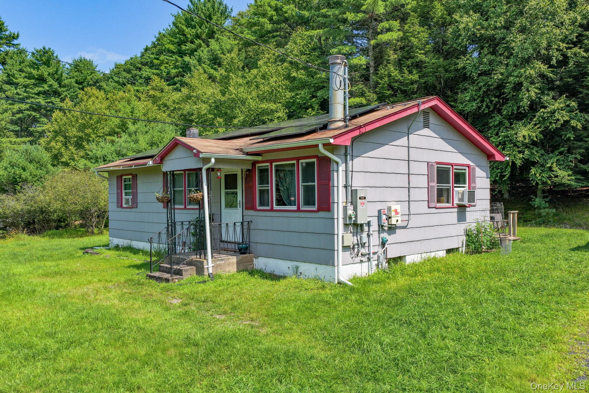 Single Family Taras Shevchenko Road Sullivan County, NY 12737, MLS-1036627-2