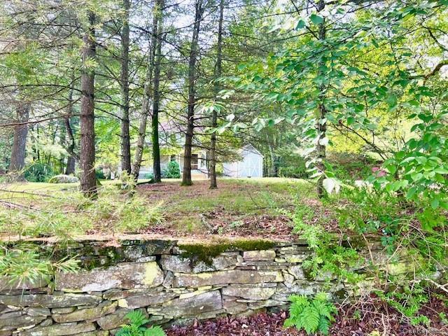 Single Family Rennenberg Road Sullivan County, NY 12743, MLS-1036631-18