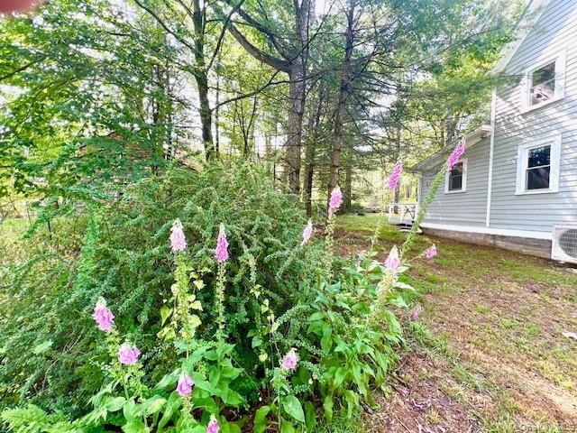 Single Family Rennenberg Road Sullivan County, NY 12743, MLS-1036631-20