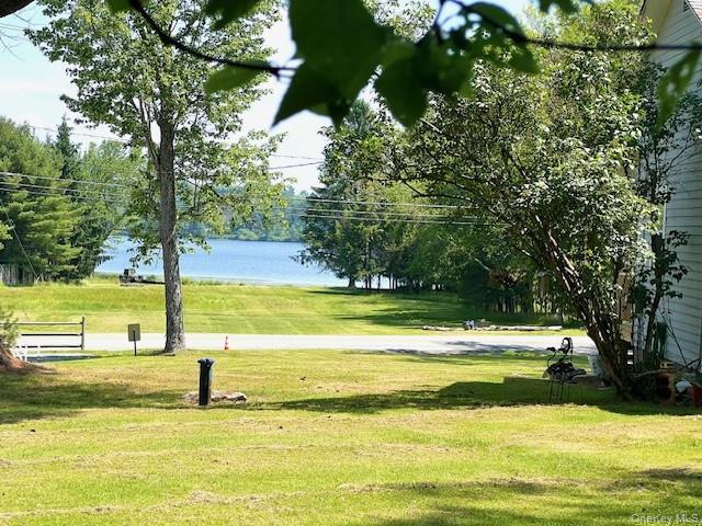 Single Family Rennenberg Road Sullivan County, NY 12743, MLS-1036631-4