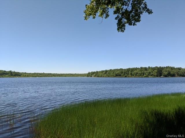 Single Family Rennenberg Road Sullivan County, NY 12743, MLS-1036631-5
