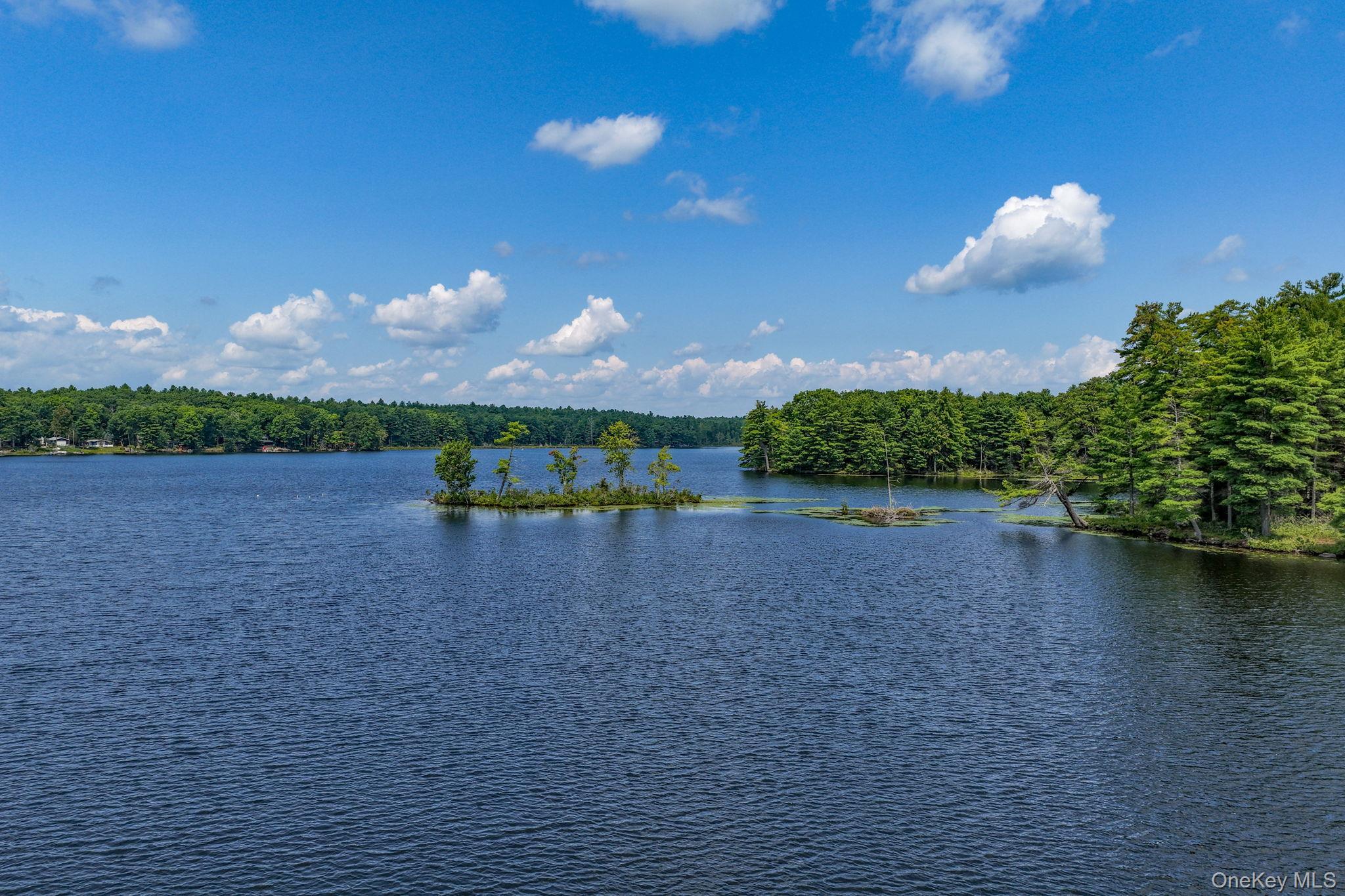 Single Family Beach  Sullivan County, NY 12737, MLS-1036645-33