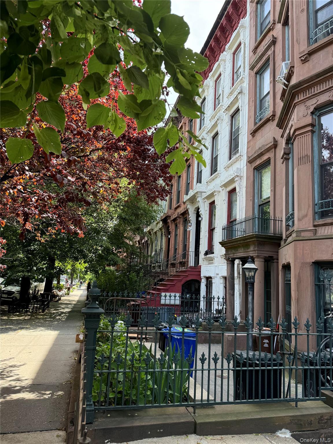 Single Family Hancock Street  Brooklyn, NY 11216, MLS-1036682-6