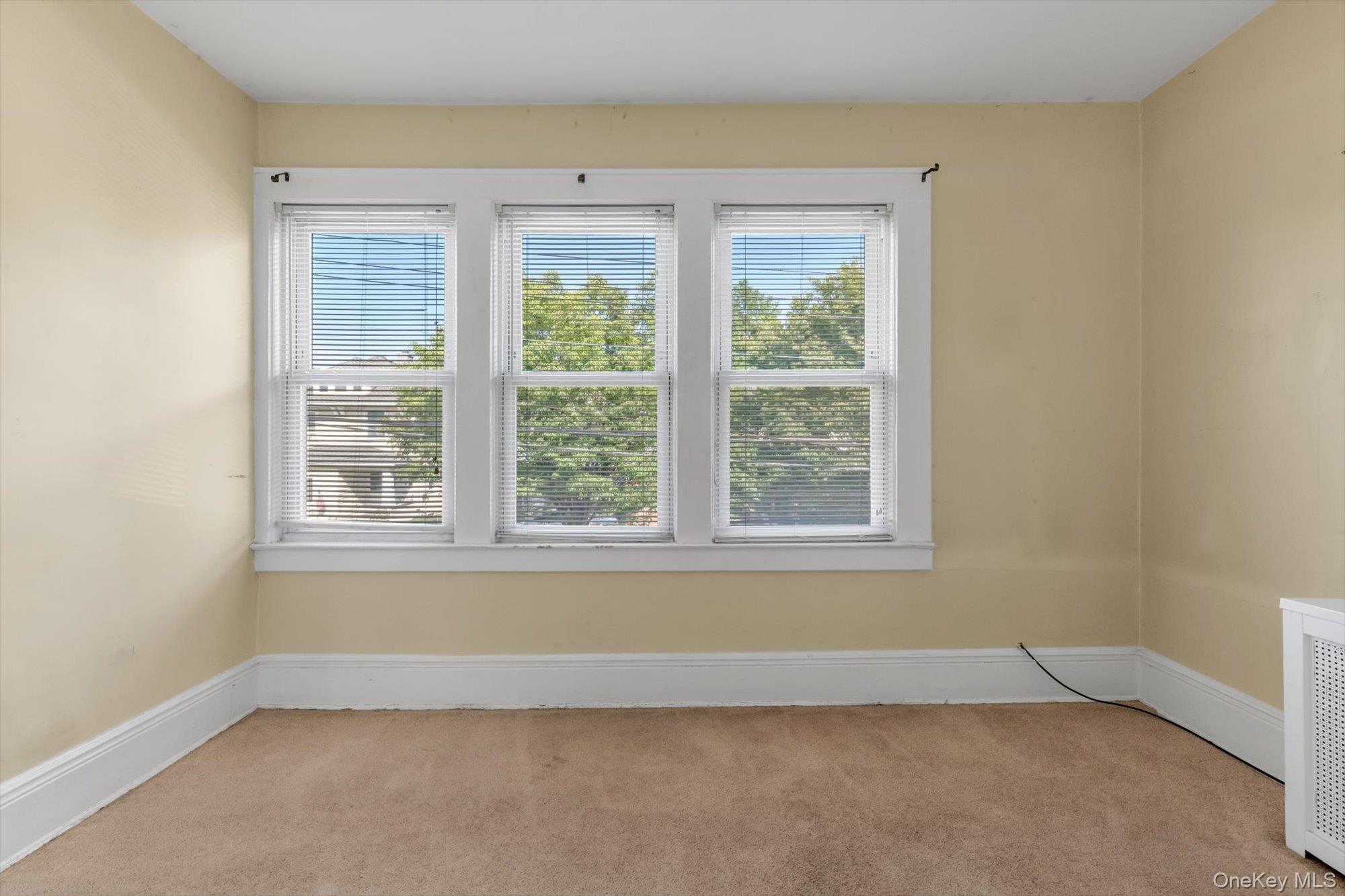 Single Family 164th Street Queens, NY 11358, MLS-1036695-16