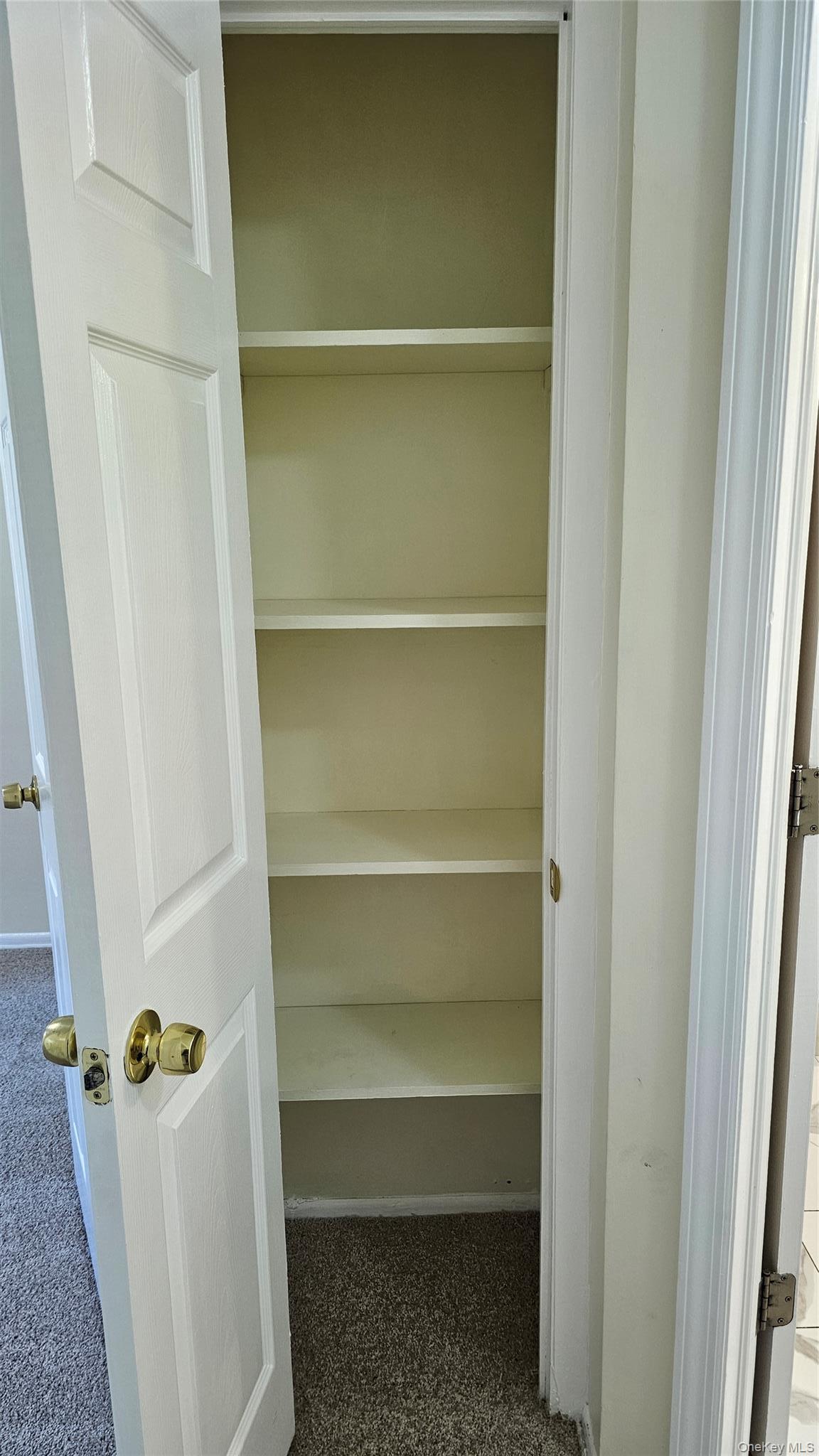 Apartment E 85th Street Brooklyn, NY 11236, MLS-1036739-5