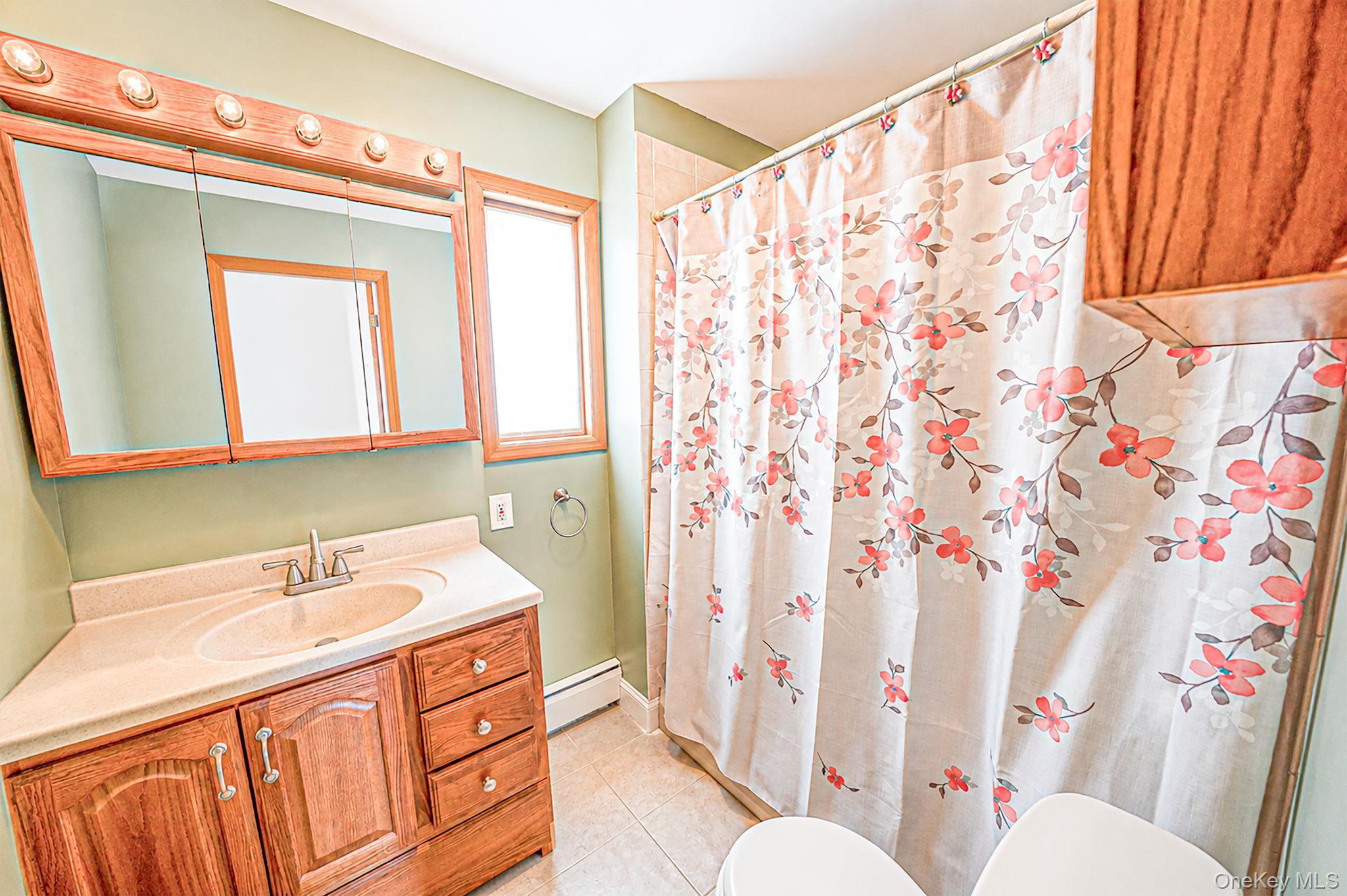 Single Family Clinton Avenue  Suffolk County, NY 11772, MLS-1036740-16