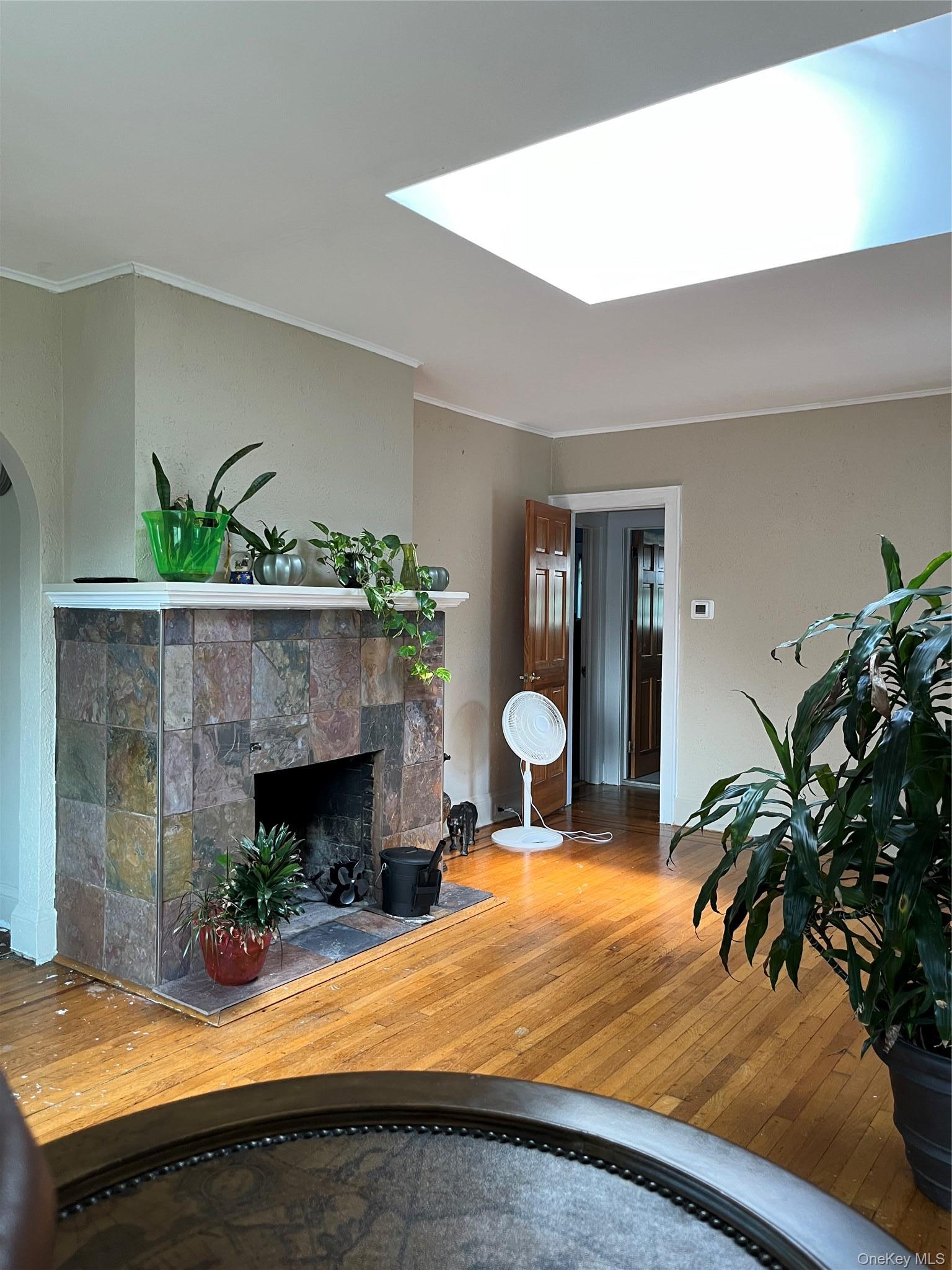 Single Family E Roosevelt Avenue Nassau County, NY 11575, MLS-1036743-6