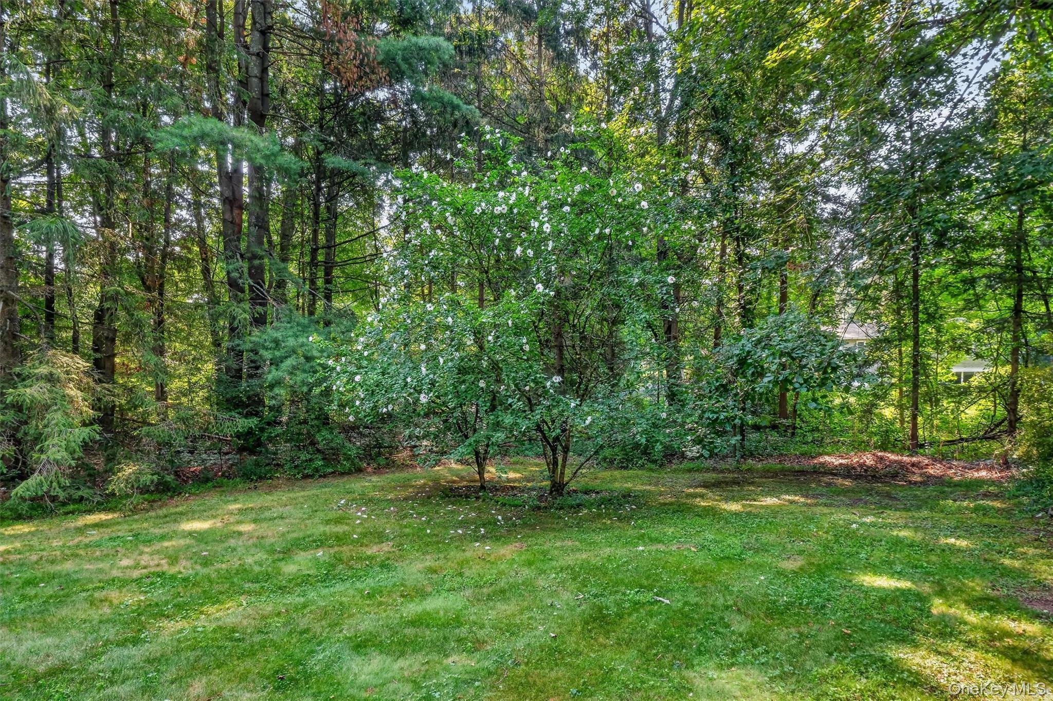 Single Family Julie Drive Dutchess County, NY 12533, MLS-1036754-38
