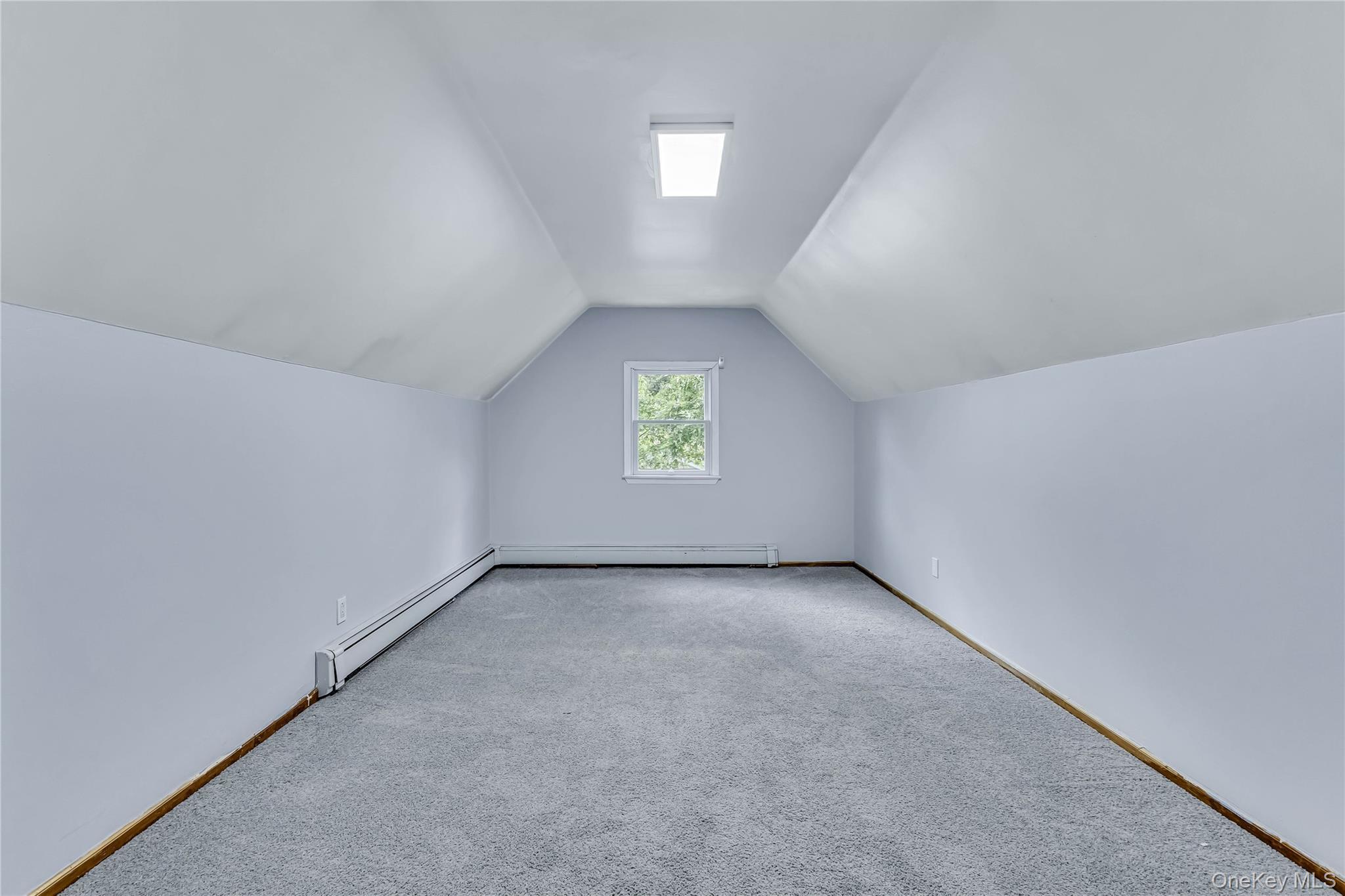 Single Family Saddle Lane  Suffolk County, NY 11720, MLS-1036761-21