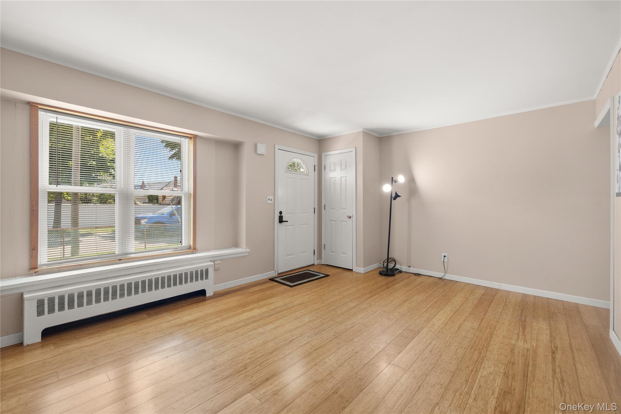 Single Family Buffalo Avenue Suffolk County, NY 11757, MLS-1036764-3