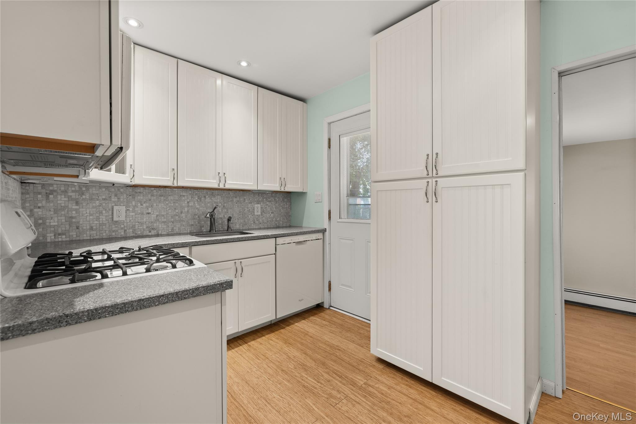 Single Family Buffalo Avenue Suffolk County, NY 11757, MLS-1036764-6