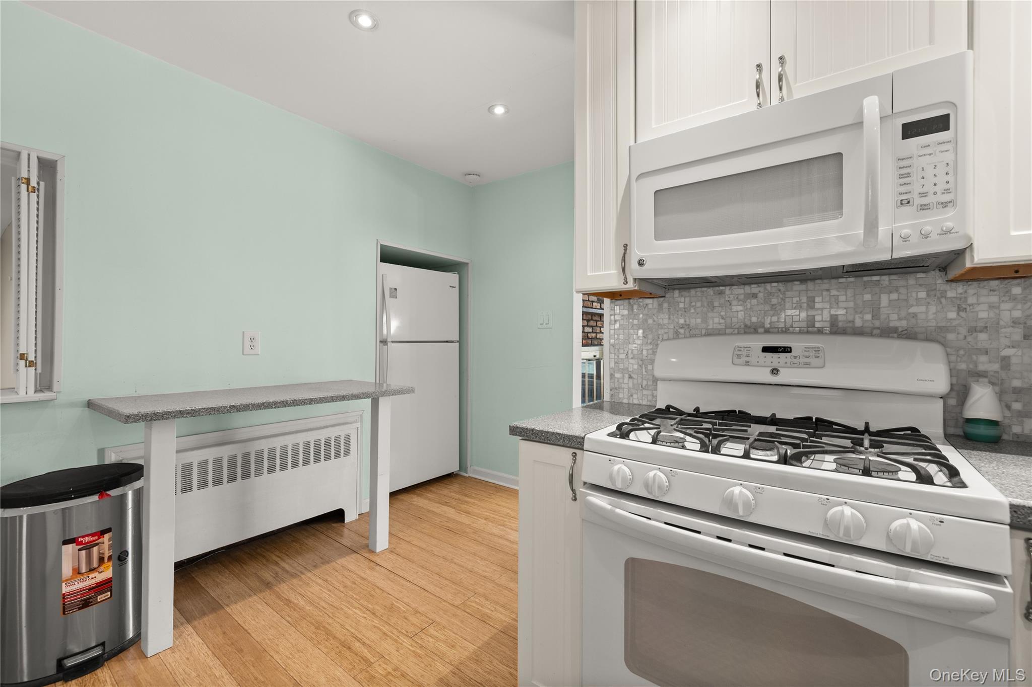 Single Family Buffalo Avenue Suffolk County, NY 11757, MLS-1036764-7