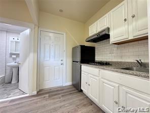 Single Family Jamaica Avenue  Queens, NY 11435, MLS-1036786-7
