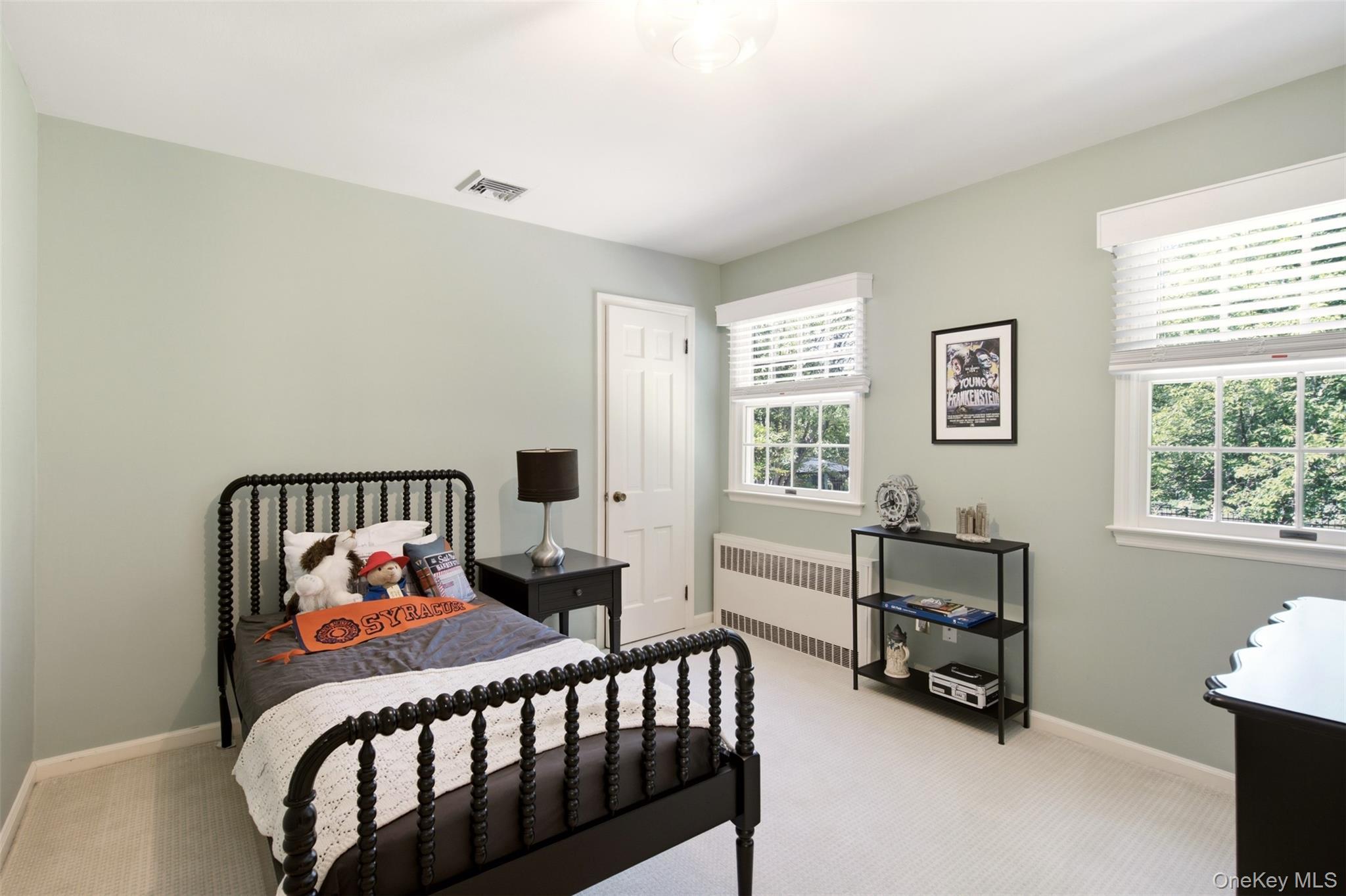 Single Family Private Road Suffolk County, NY 11743, MLS-1036800-25