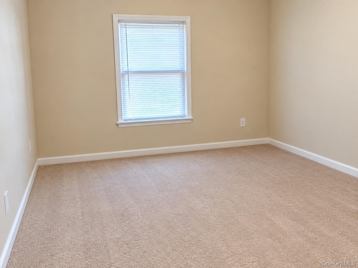 Single Family 143rd Avenue  Queens, NY 11434, MLS-1036826-13